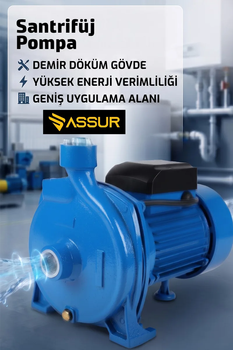ASSUR Cpm158 29m Basınç Yüksekliği 1 HP Bakır Sargı Elektrikli Santrifüj Pompa Su Motoru - Görsel 2