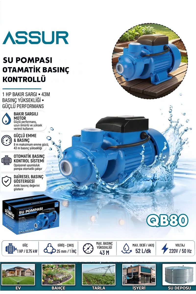 ASSUR Qb80 43m Basınç Yüksekliği 1 HP Bakır Sargı Elektrikli Santrifüj Pompa Su Motoru