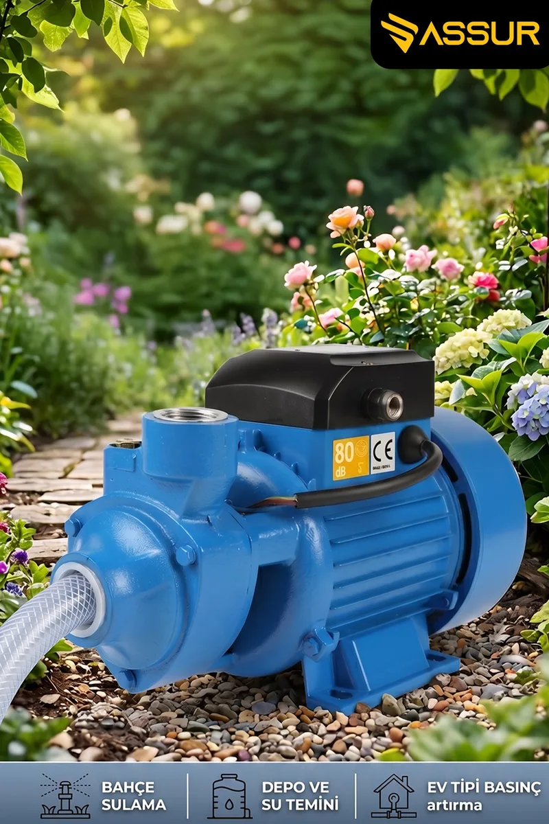 ASSUR Qb80 43m Basınç Yüksekliği 1 HP Bakır Sargı Elektrikli Santrifüj Pompa Su Motoru - Görsel 3